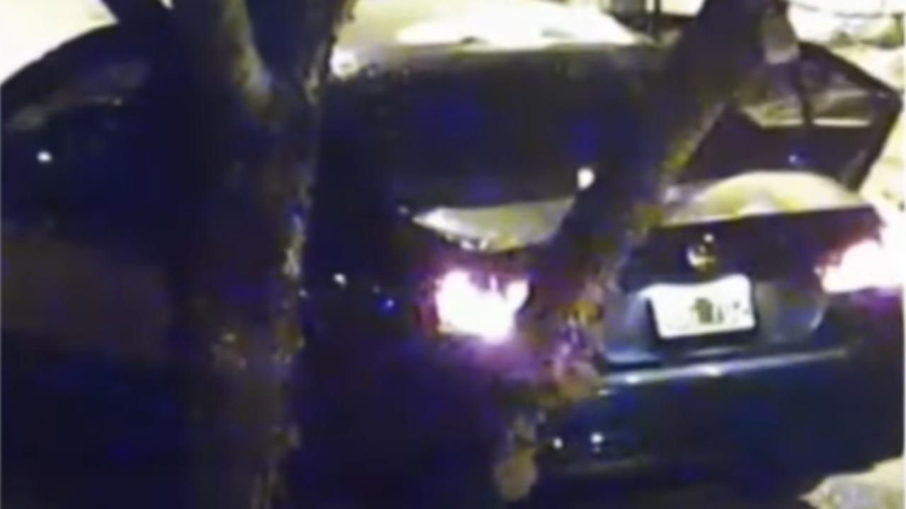 Video: la joven del choque en Panamericana intentó bajarse del auto