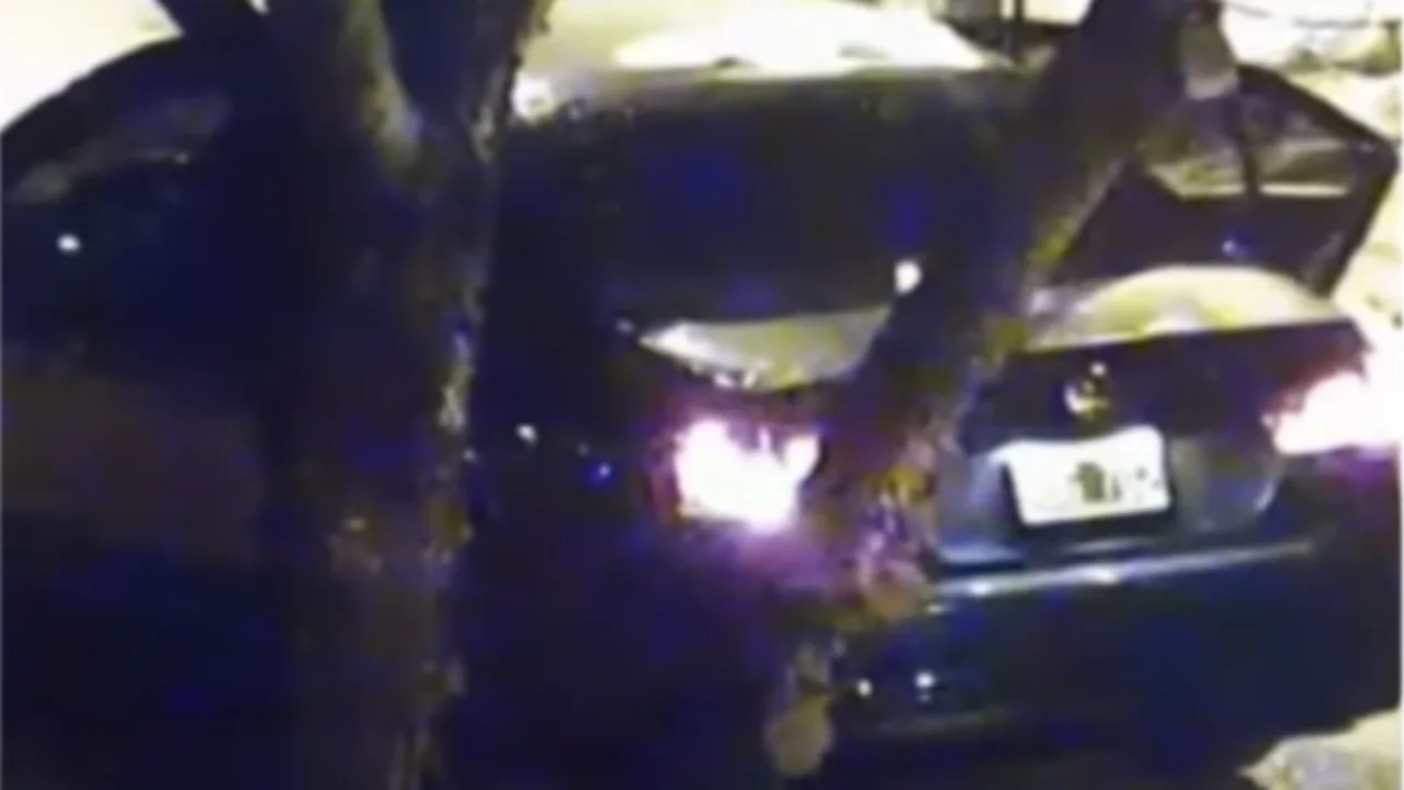 Video: la joven del choque en Panamericana intentó bajarse del auto