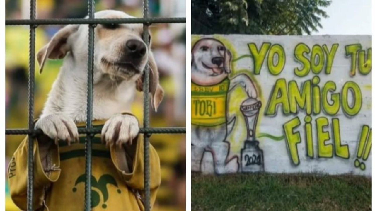 Defensa y Justicia, viral, virales, redes sociales, perro