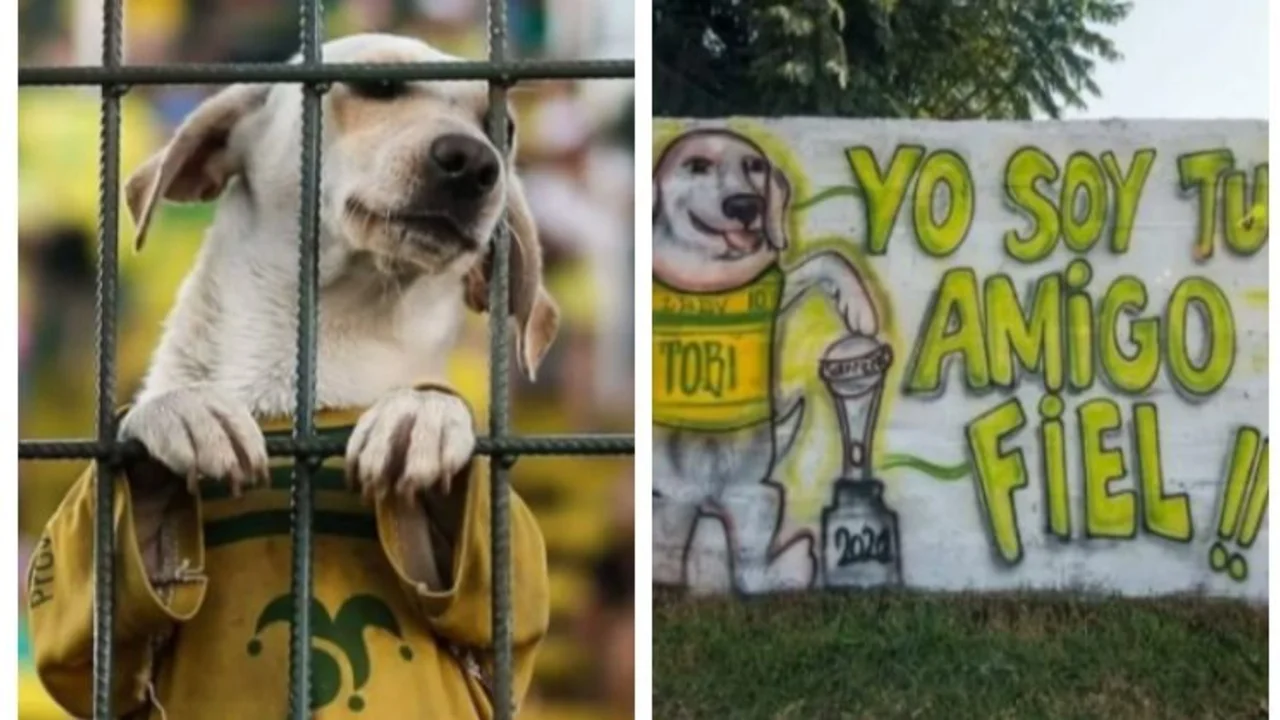 Defensa y Justicia, viral, virales, redes sociales, perro