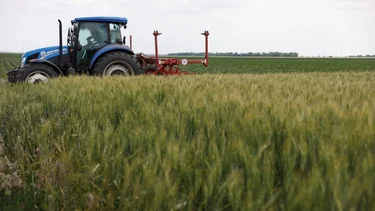 Crucial acuerdo entre Rusia y Ucrania: habilitan la exportación de cereales