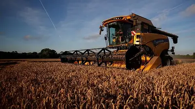 Empresas agropecuarias liquidaron u$s 3387 millones en agosto Empresas agropecuarias liquidaron u$s 3387 millones en agosto
