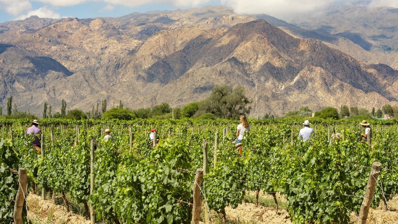 Salta y el Chaltén entre los mejores 50 lugares del mundo, según Times