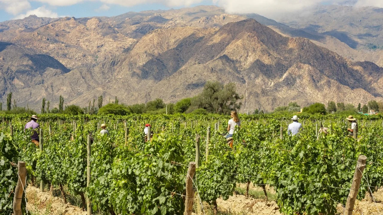 Salta y el Chaltén entre los mejores 50 lugares del mundo, según Times