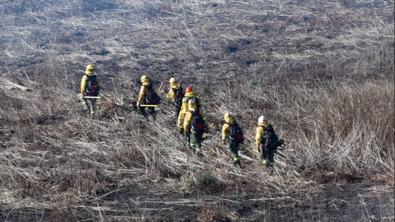 Incendios en el Delta del Paraná: continúan las quemas y Santa Fe pide una investigación