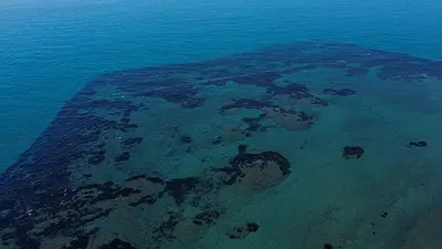 Chipre inaugura el primer parque arqueológico subacuático en un antiguo puerto Chipre inaugura el primer parque arqueológico subacuático en un antiguo puerto