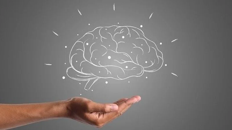 Día del Cerebro: por qué se celebra y cómo prevenir su deterioro