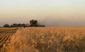El campo argentino: un negocio financiero y especulativo con base agrícola | Campo
