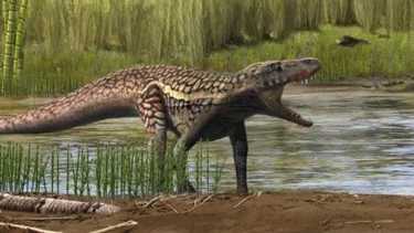 Arcosaurios bajo la lupa: cuando la paleontología desborda a los dinosaurios