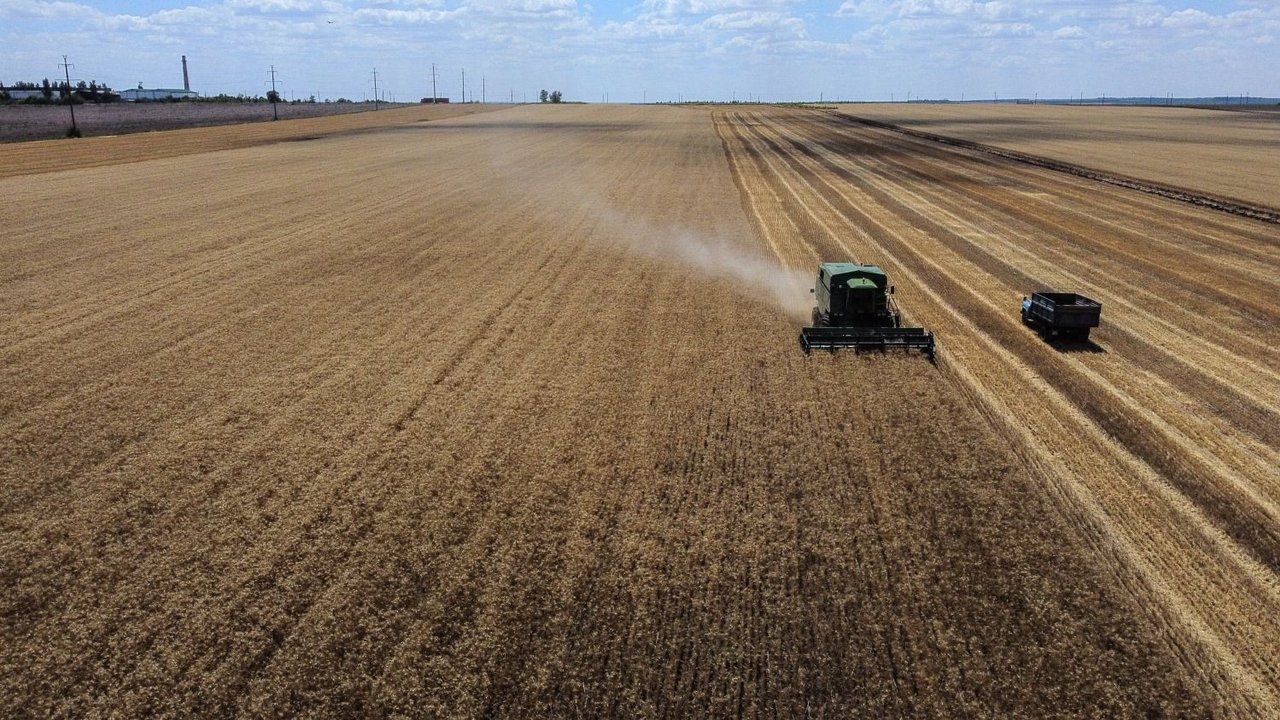 Rusia volvió al acuerdo para exportar granos desde Ucrania y cayeron los precios internacionales
