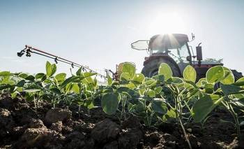Incentivos al agro: lo que la corrida nos dejó | Dólar