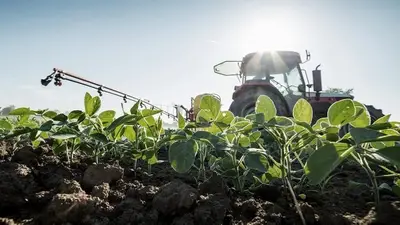 Los productores que liquidaron a 200 pesos no podrán comprar dólares solidarios o bolsa Los productores que liquidaron a 200 pesos no podrán comprar dólares solidarios o bolsa