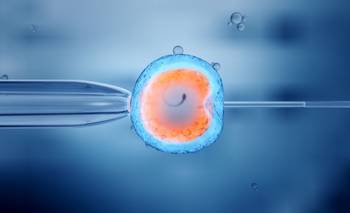 Fecundación in vitro: cómo es el tratamiento en Argentina | Fecundación in vitro