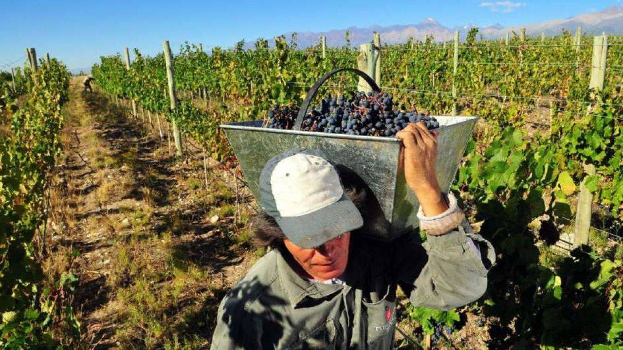 Advierten que 120.000 puestos rurales corren riesgo porque el Gobierno no renovó la compatibilidad con planes sociales