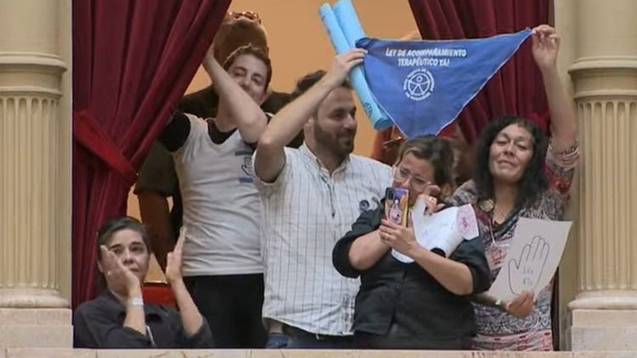 Media sanción al proyecto sobre acompañantes terapéuticos con 197 votos