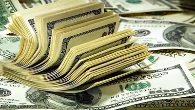 Dolar turista Dolar turista
