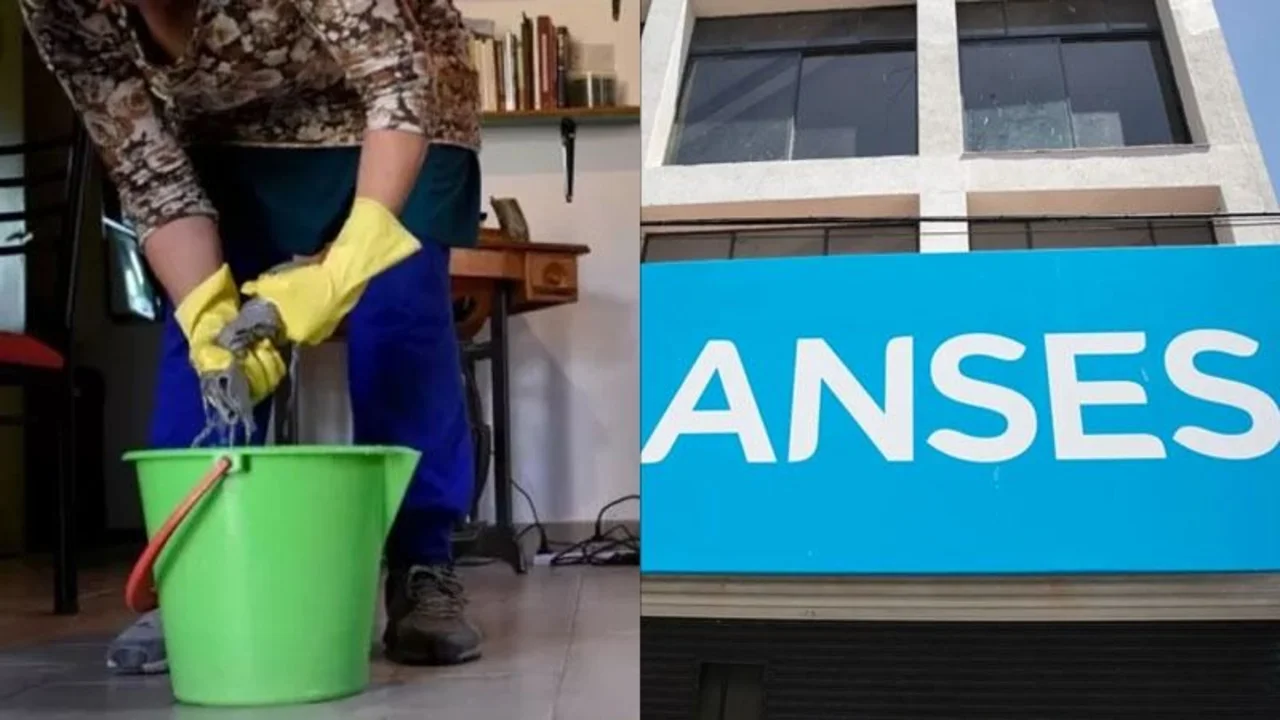 Personal doméstico, empleadas domésticas, ANSES