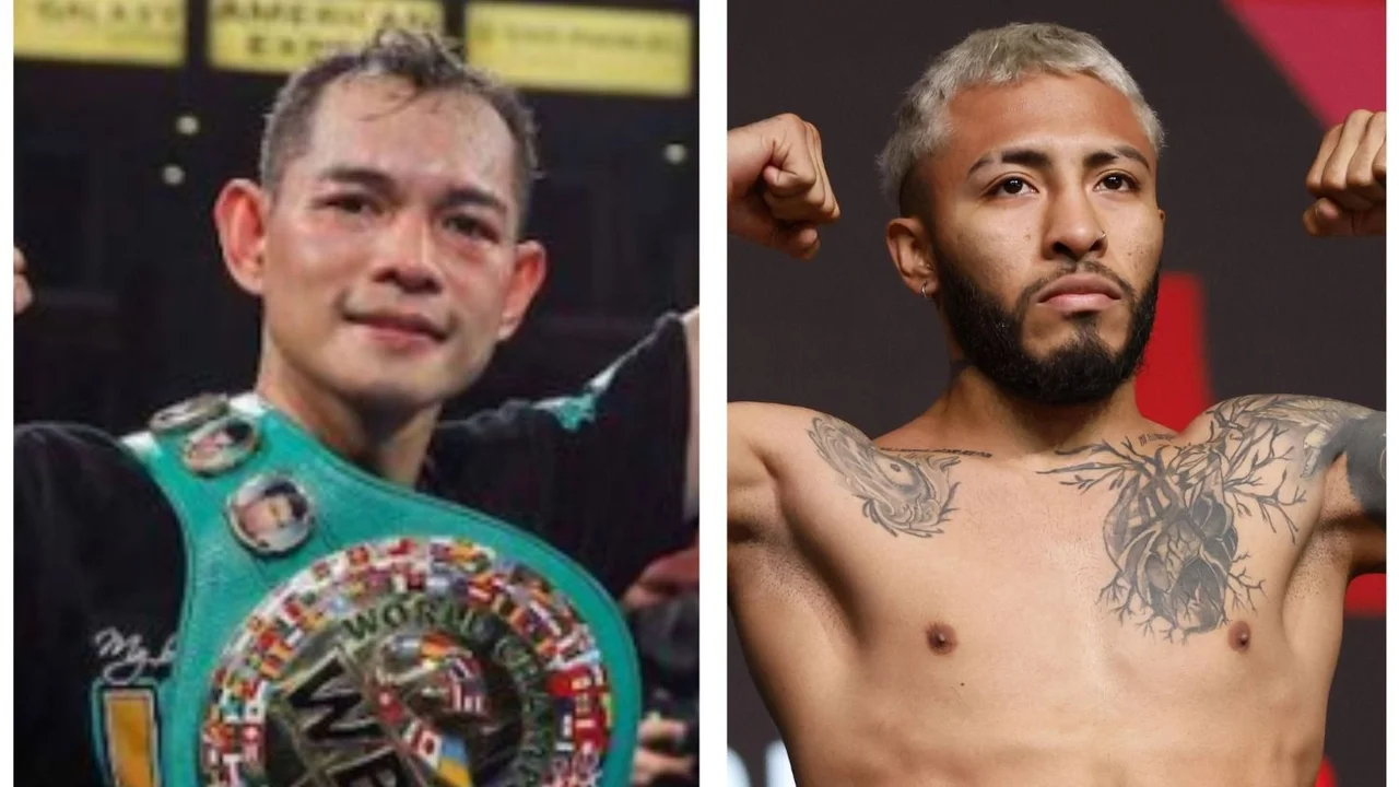 Nonito Donaire vs. Alexandro Santiago
