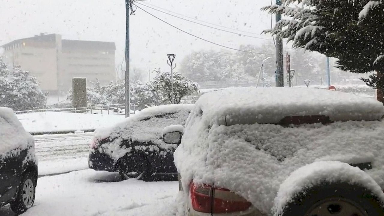 Nevadas