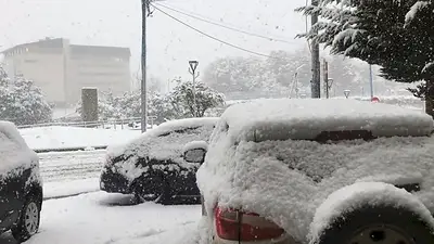 Nevadas Nevadas