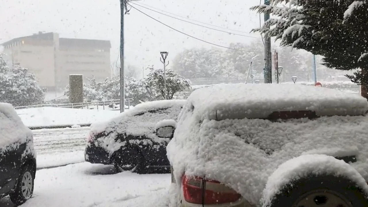 Nevadas