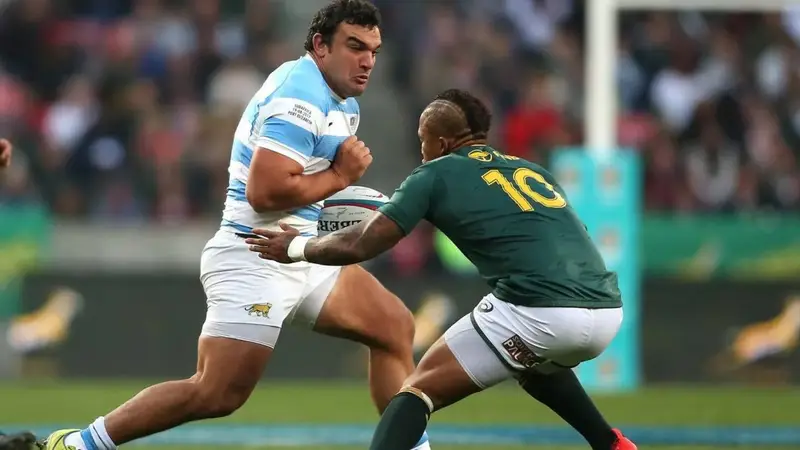 Pumas Springbooks