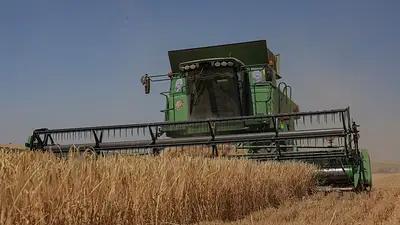 Se cayó el acuerdo para exportar granos desde Ucrania y preocupan los precios internacionales Se cayó el acuerdo para exportar granos desde Ucrania y preocupan los precios internacionales