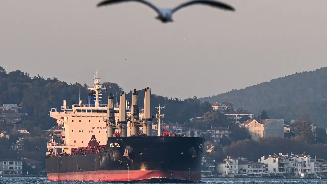 Rusia alertó sobre los "riesgos" que significaría continuar exportando granos en Ucrania sin un acuerdo
