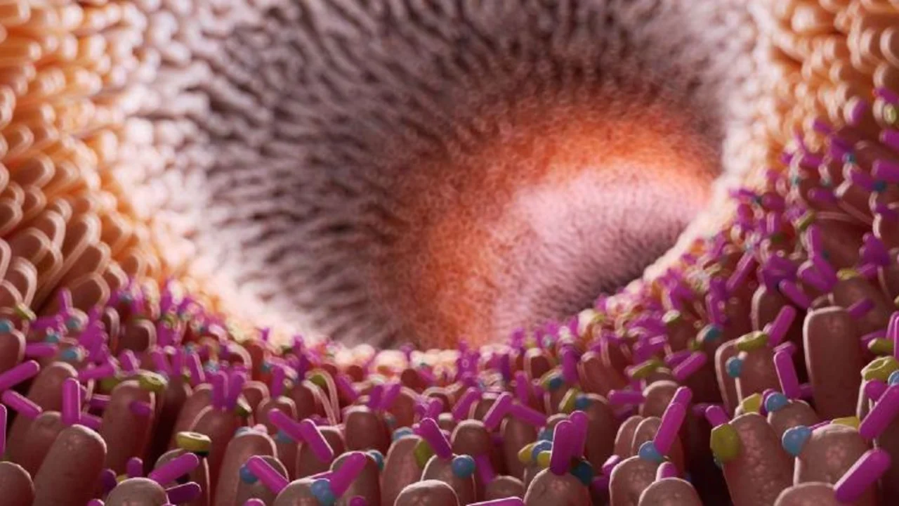 Microbiota: por qué es “el segundo cerebro del ser humano” y cómo cuidarla