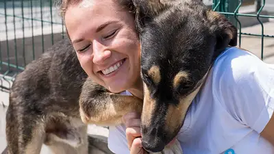 Adopción de mascotas Adopción de mascotas