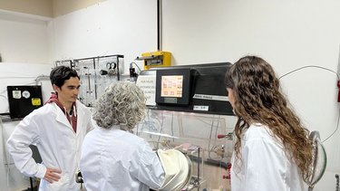 Logran sintetizar sales de litio indispensables para fabricar baterías