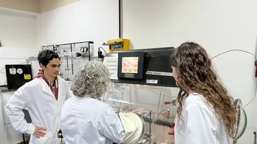Logran sintetizar sales de litio indispensables para fabricar baterías
