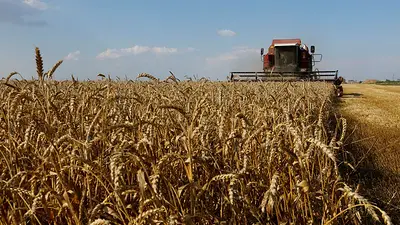 El FMI estima un aumento del 15% de los precios internacionales de granos, si no hay acuerdo entre Rusia y Ucrania El FMI estima un aumento del 15% de los precios internacionales de granos, si no hay acuerdo entre Rusia y Ucrania