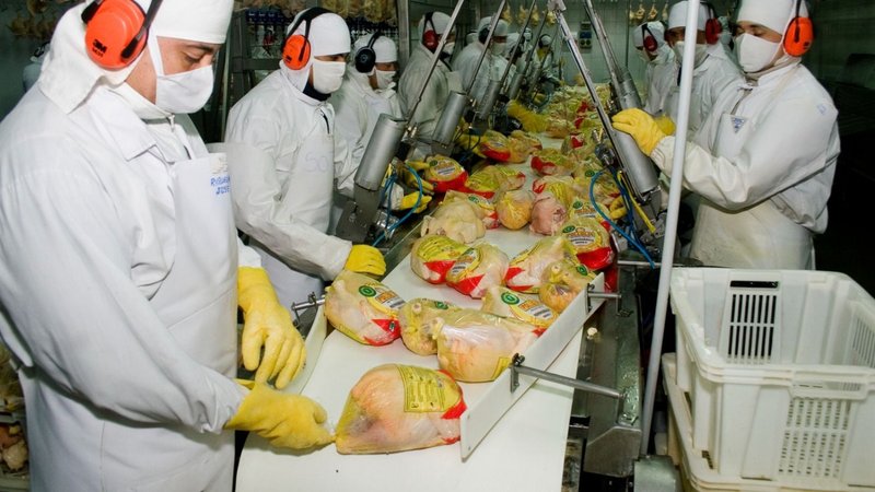 Pollos y dólares: la mejor noticia que recibió el Gobierno desde Vietnam