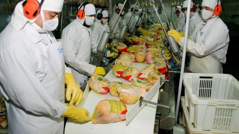 Pollos y dólares: la mejor noticia que recibió el Gobierno desde Vietnam