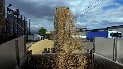 Suben los precios de alimentos en julio, tras la retirada rusa del acuerdo de granos Suben los precios de alimentos en julio, tras la retirada rusa del acuerdo de granos