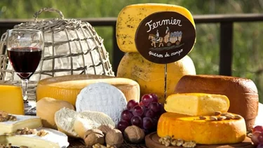 Se conoció la manera ideal para guardar el queso en la heladera