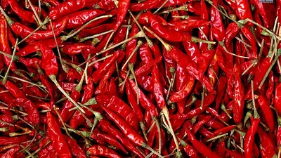 Chiles mexicanos Chiles mexicanos