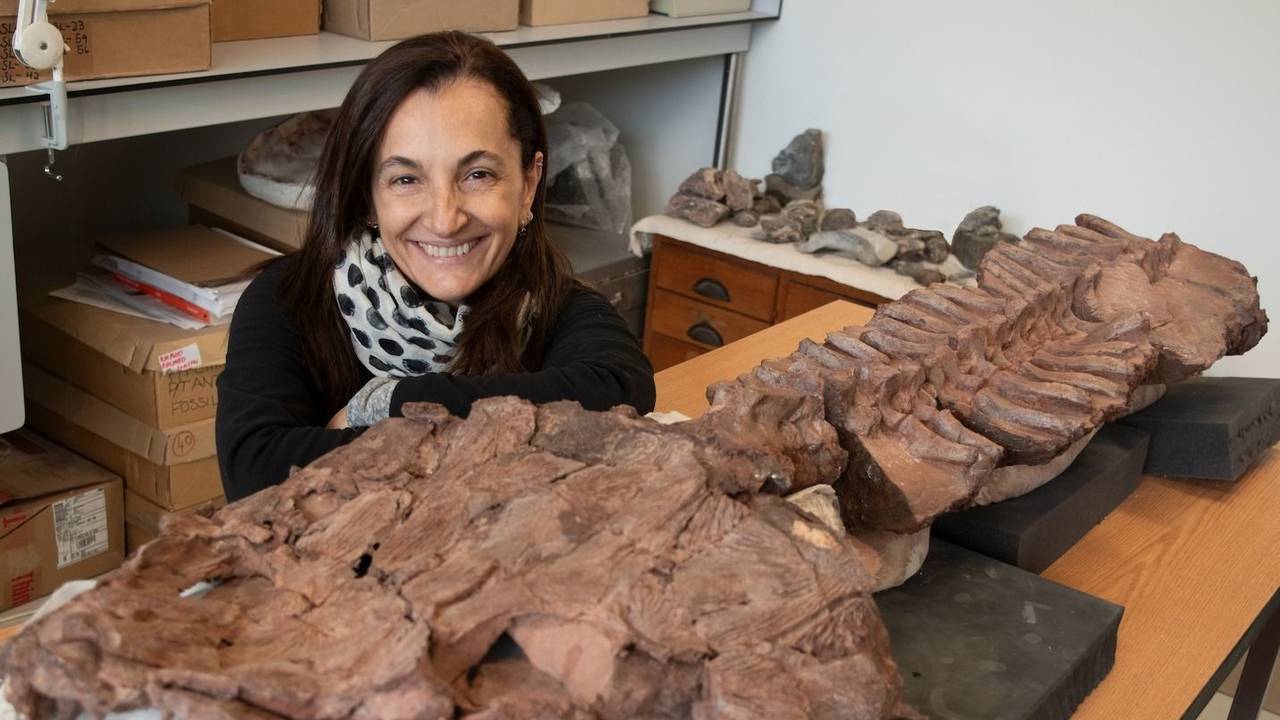 Una paleontóloga argentina descubrió uno de los primeros vertebrados de cuatro patas que pasaron del agua a la tierra