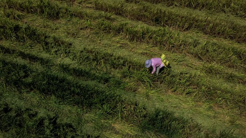 China advierte de olas de calor más intensas y prolongadas