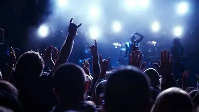 Imagen de un festival de rock en vivo Imagen de un festival de rock en vivo