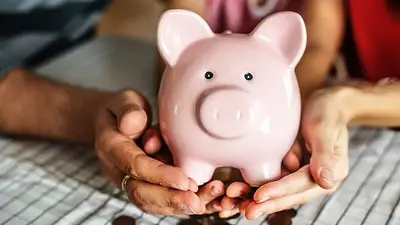Chanchito alcancía ahorros Chanchito alcancía ahorros