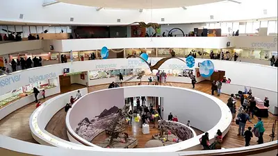 Museo de Ciencias Naturales Arturo Illia, Córdoba Museo de Ciencias Naturales Arturo Illia, Córdoba