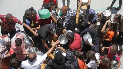 Los habitantes de Gaza recurren a las hojas de morera para sobrevivir ante la falta de alimentos Los habitantes de Gaza recurren a las hojas de morera para sobrevivir ante la falta de alimentos