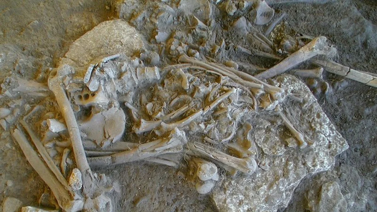 Evidencia del genoma apunta a una plaga en la crisis demográfica europea de la Edad de Piedra