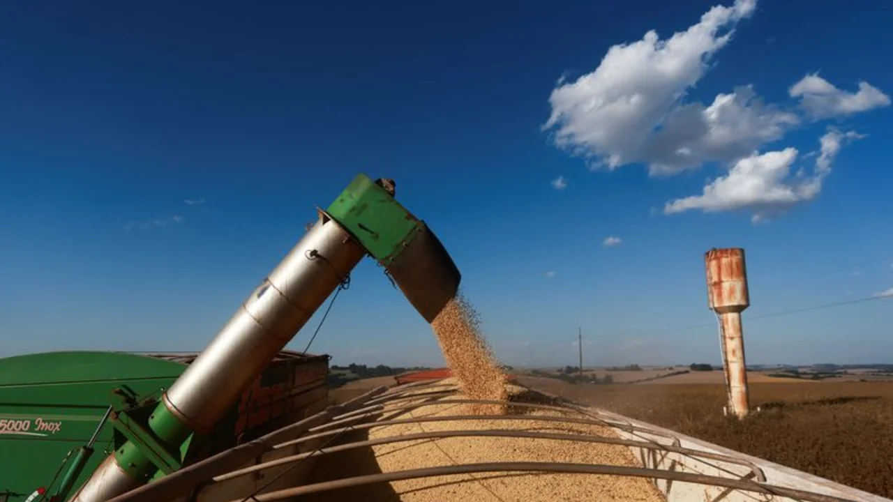 Los productores de soja de Brasil plantarán un 1,9% más de superficie en 2024/25: Safras