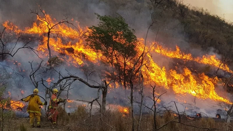 Arde Córdoba: alarma por incendios descontrolados que afectan 60 hectáreas de Traslasierra