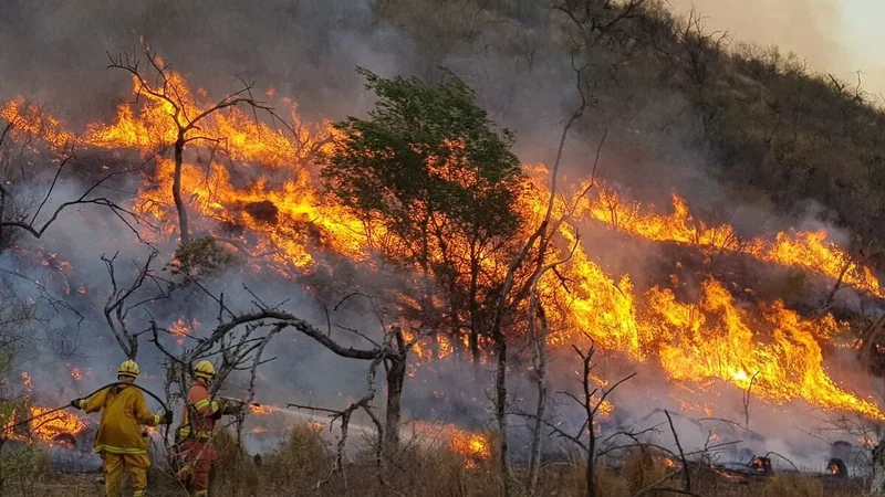 La Sociedad Rural y La Libertad Avanza quieren derogar la Ley de Manejo del Fuego