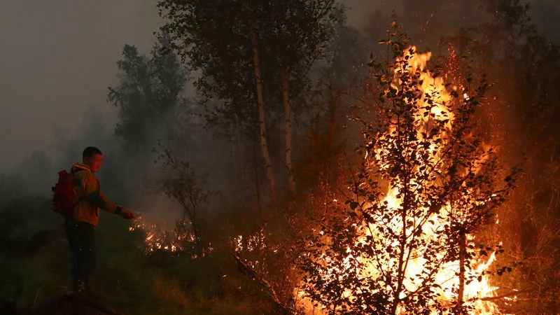Rusia combate los incendios forestales en otro caluroso verano boreal