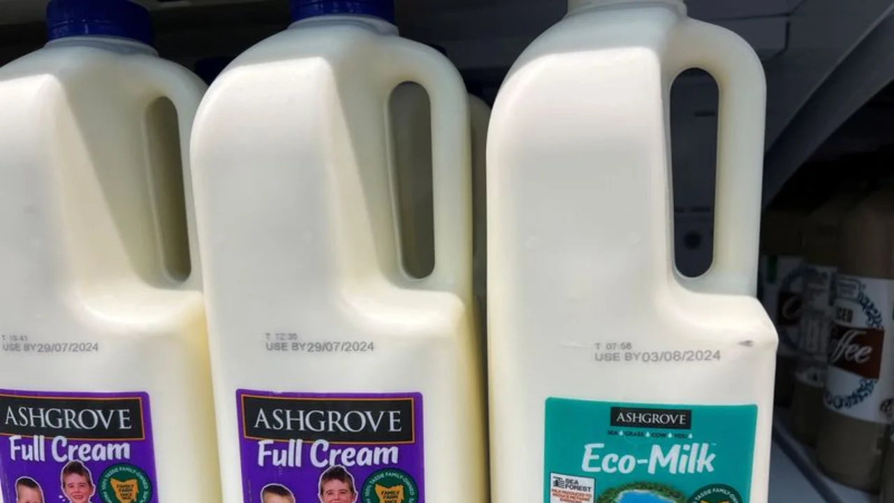 "Eco-leche" de Tasmania pone a prueba la sed por productos lácteos respetuosos con el clima